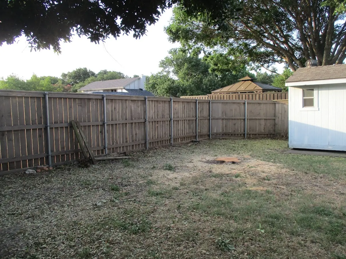 Cleared yard after professional tree removal in La Push